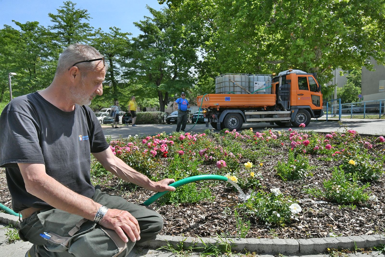Saját kútból, folyamatosan öntözi a Városgondnokság a közterületi növényeket